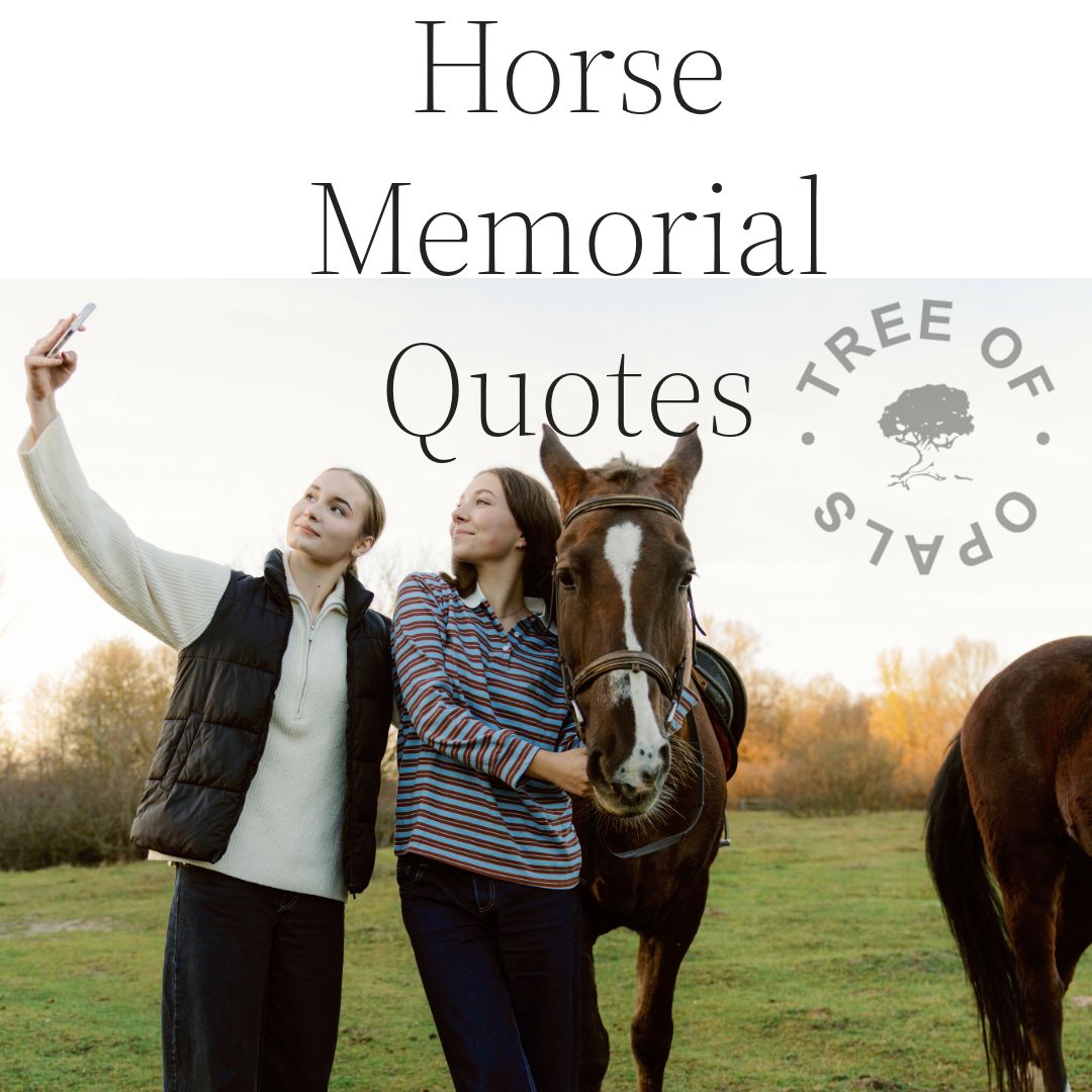 Horse Memorial Quotes
