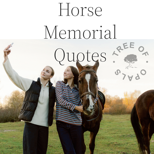 Horse Memorial Quotes