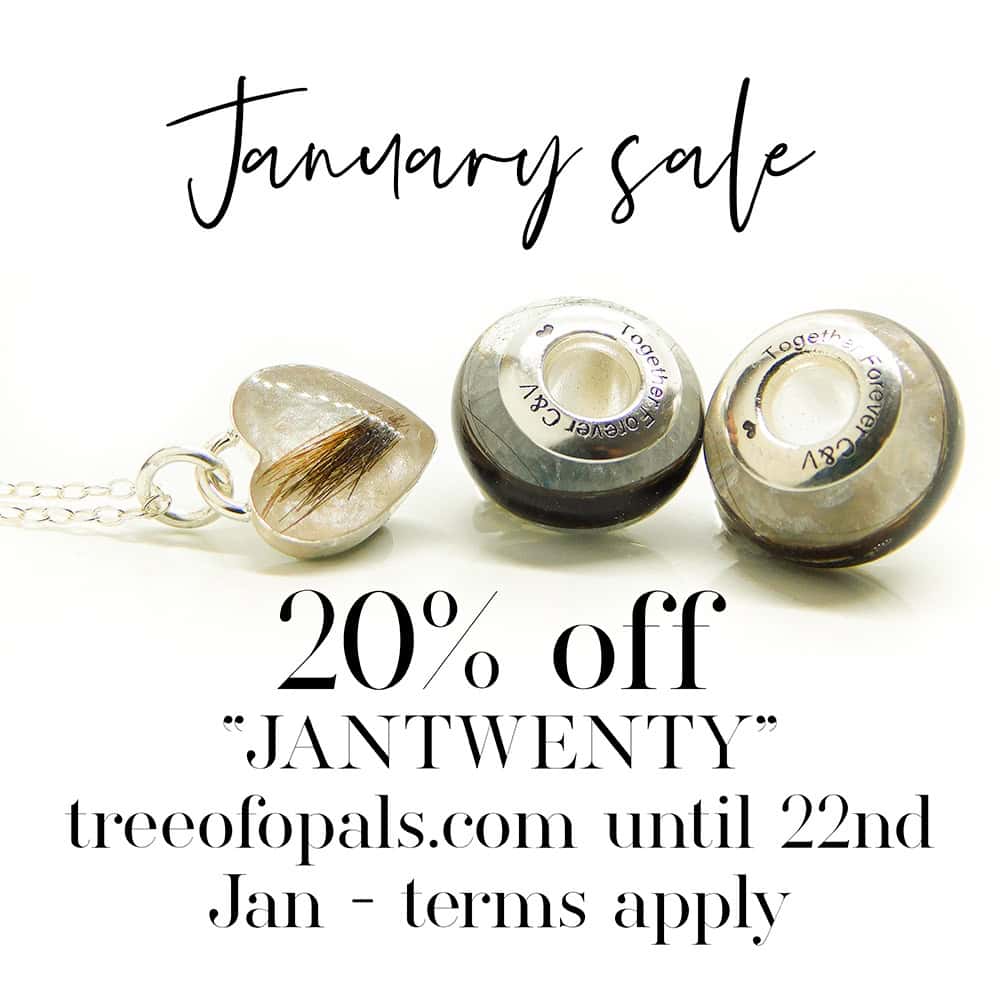 20% January Sale