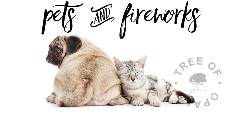 Pets and Fireworks