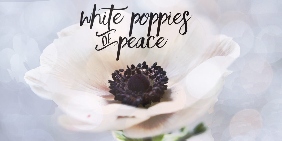 White Poppies of Peace