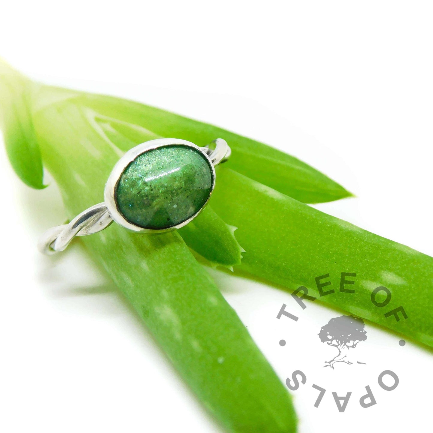 Cremation Ashes Ring