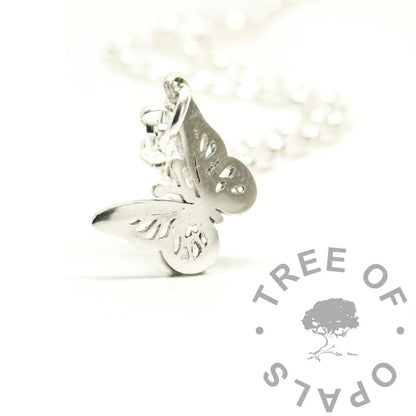 Silver Charms