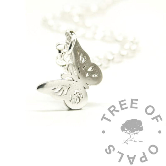 Silver Charms