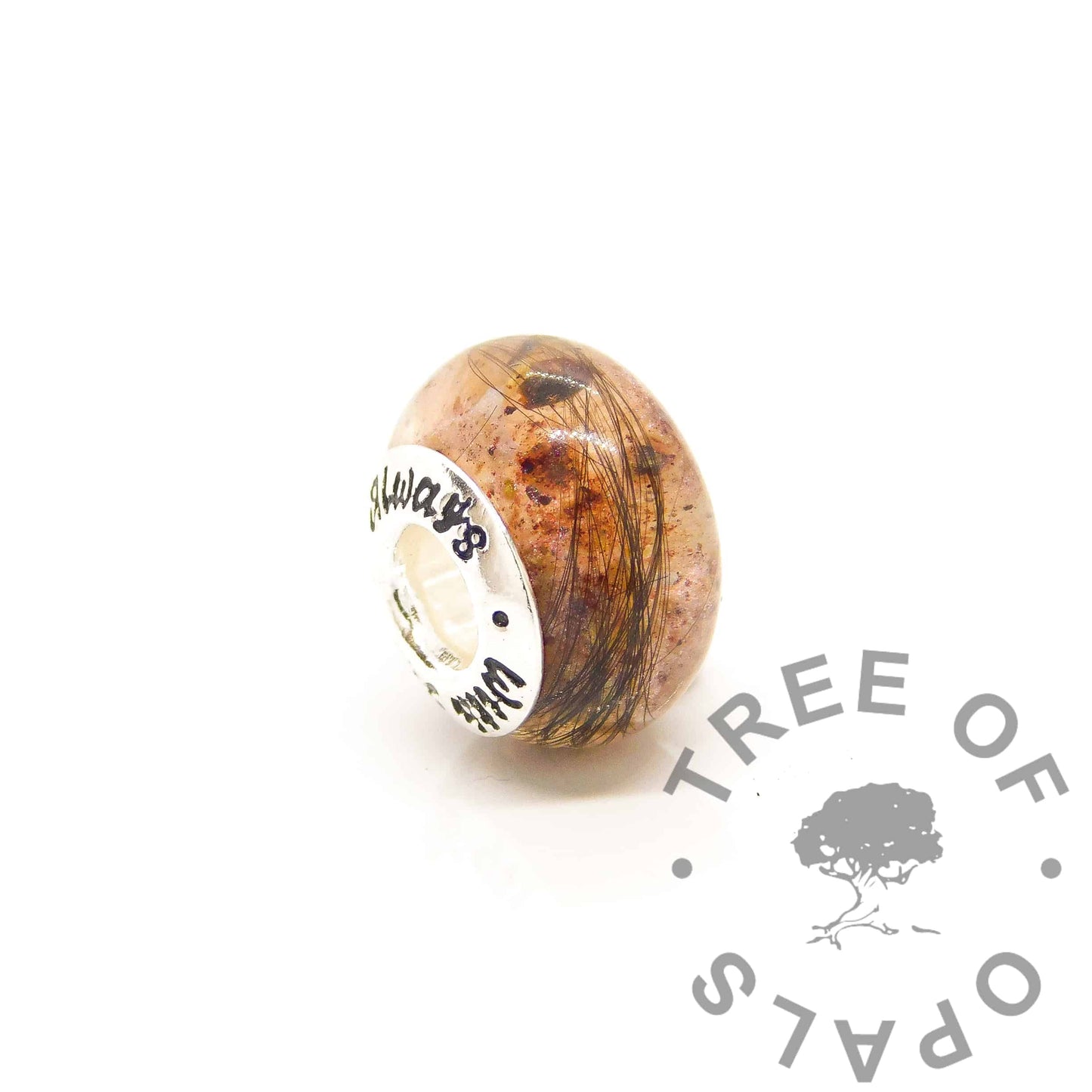 Umbilical Cord Addition