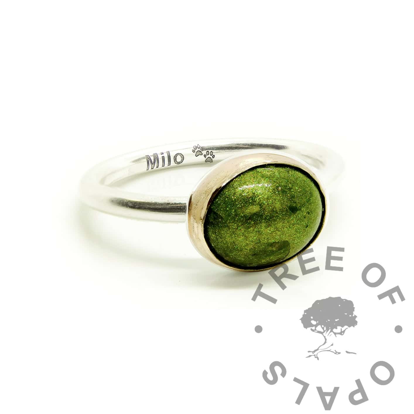 Cremation Ashes Ring