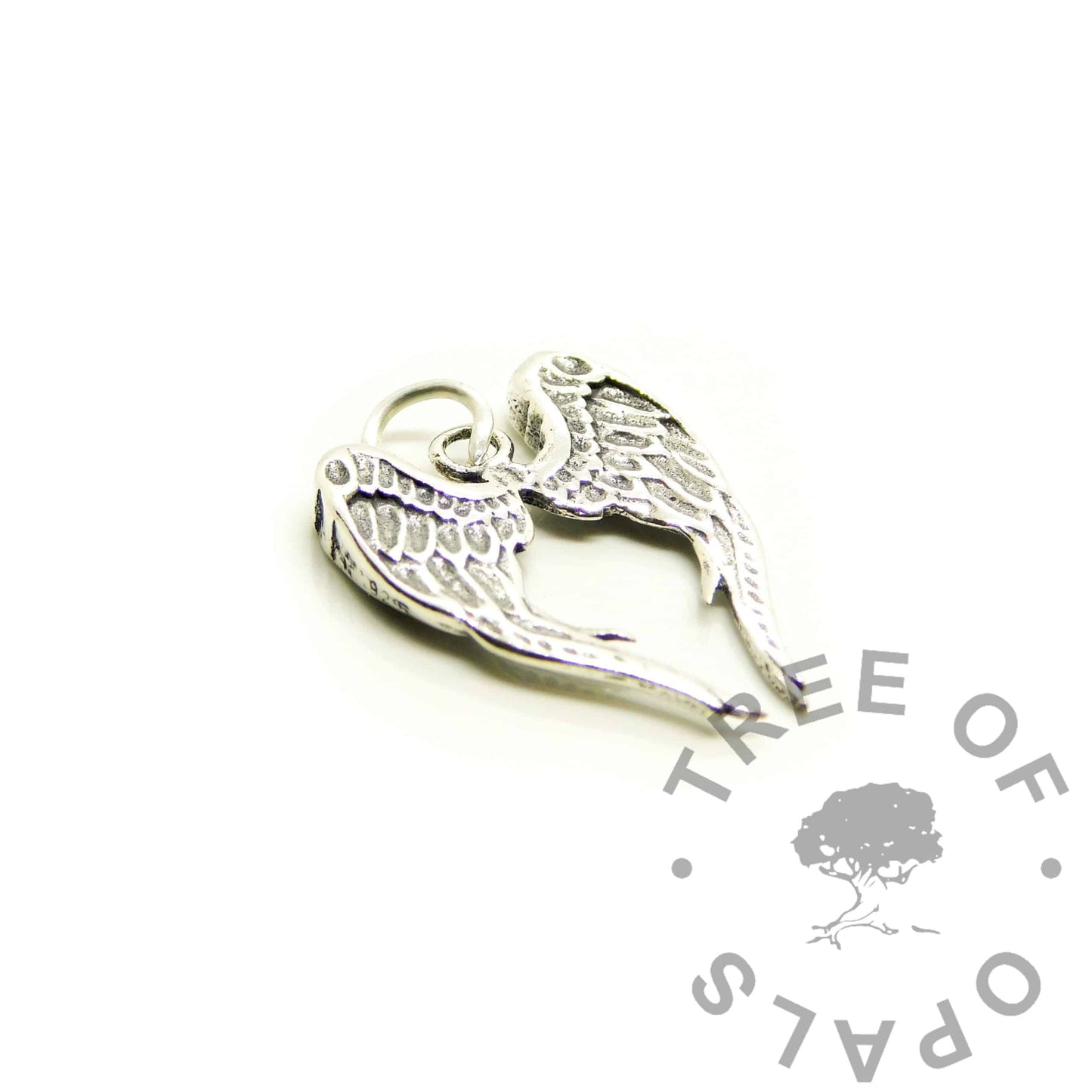 Silver Charms