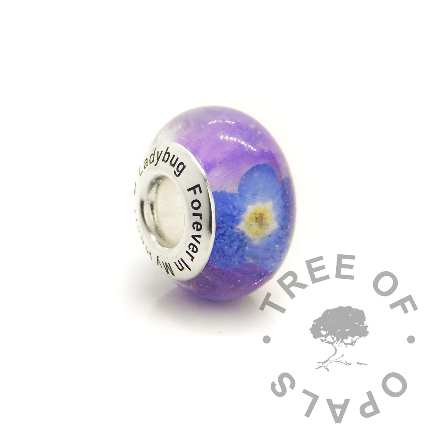 Forget Me Not